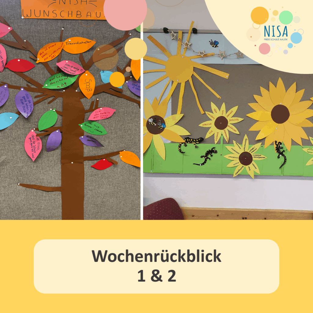 Wochenrückblick 1 & 2 - Teil 1